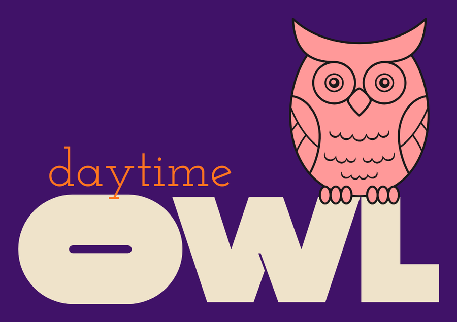 Daytime Owl